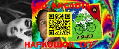 кокс Шебекино