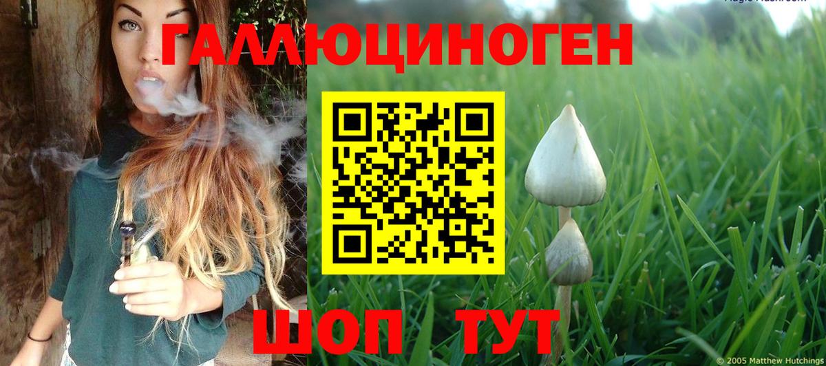 Псилоцибиновые грибы мухоморы Горячий Ключ
