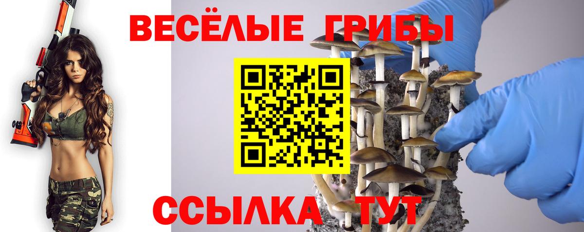 где продают   Вход с VPN  Горячий Ключ  Псилоцибиновые грибы Cubensis  Галлюциногенные грибы Cubensis 